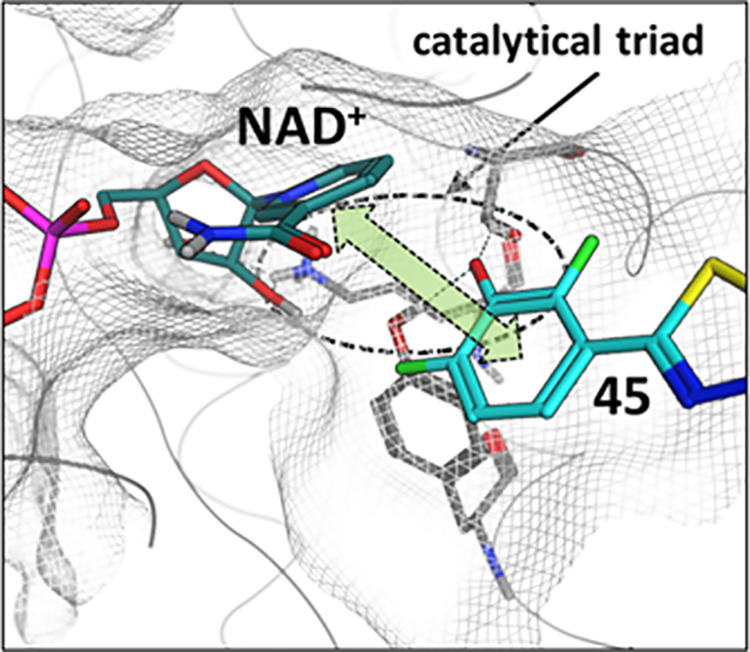 Figure 11