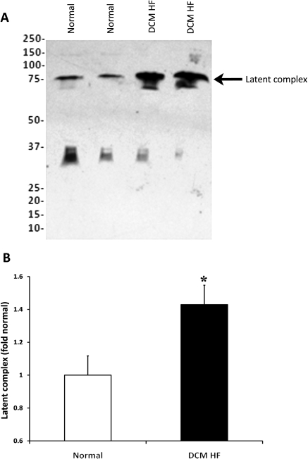 Figure 2