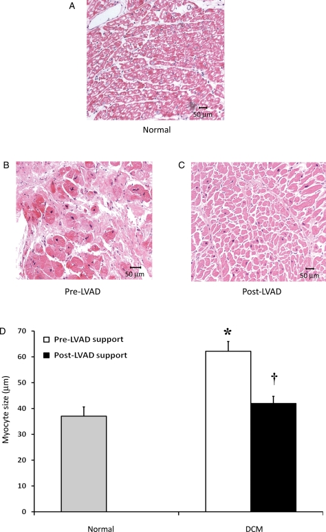 Figure 6