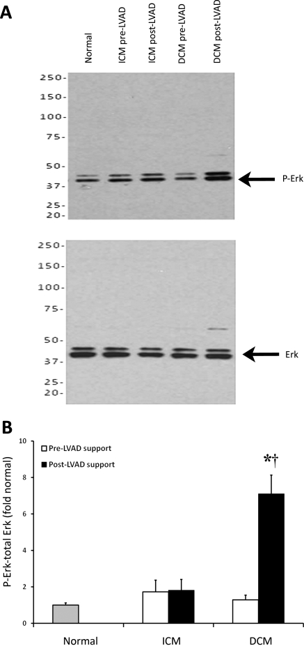 Figure 5