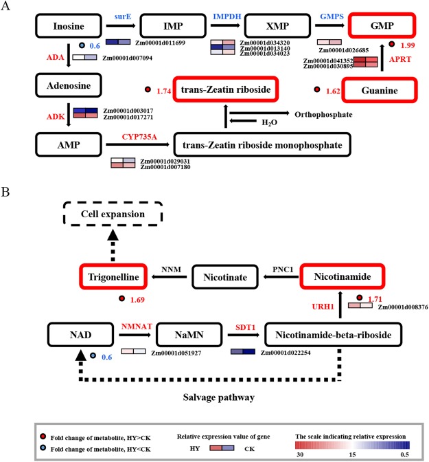 Figure 5