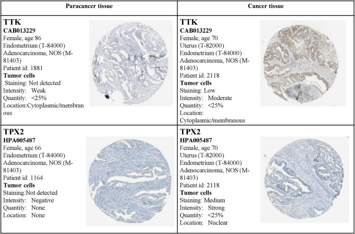 FIGURE 14