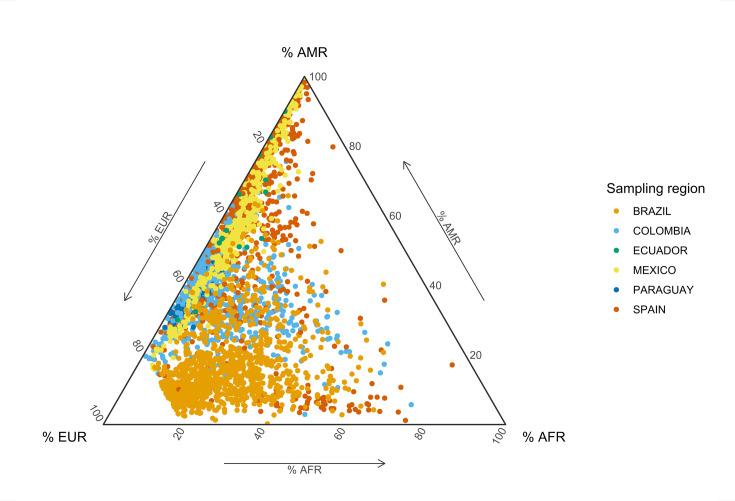 Figure 1—figure supplement 1.