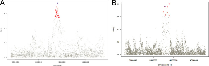 Figure 3—figure supplement 1.