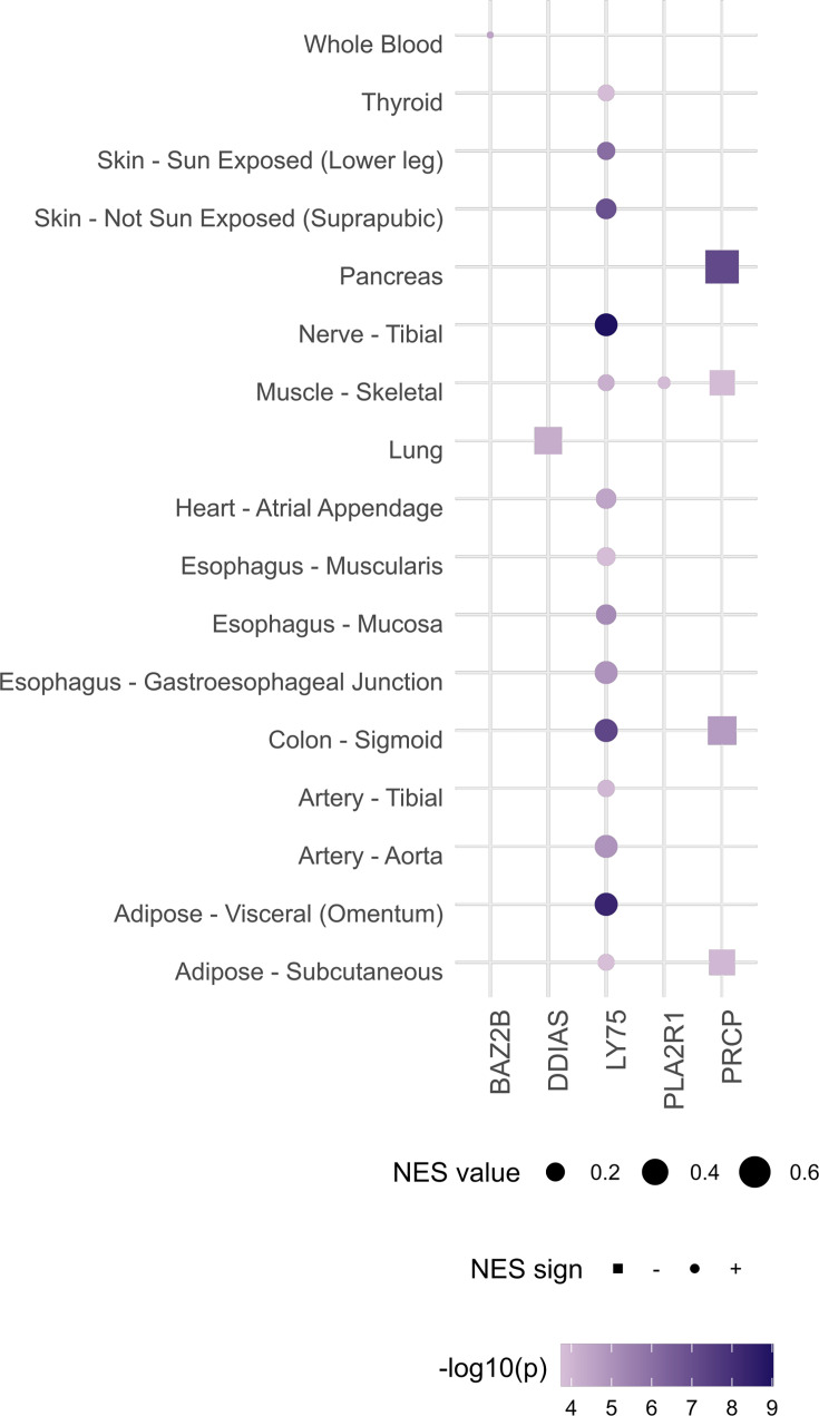 Figure 4—figure supplement 1.