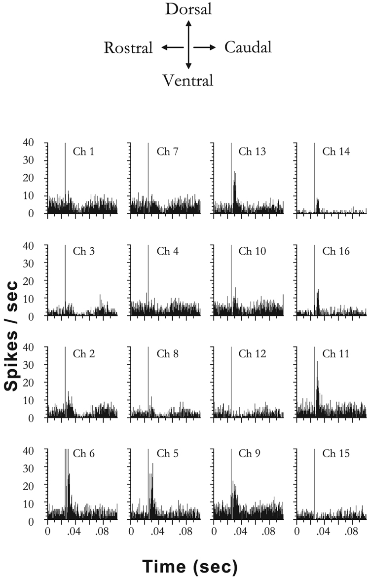 FIG. 6