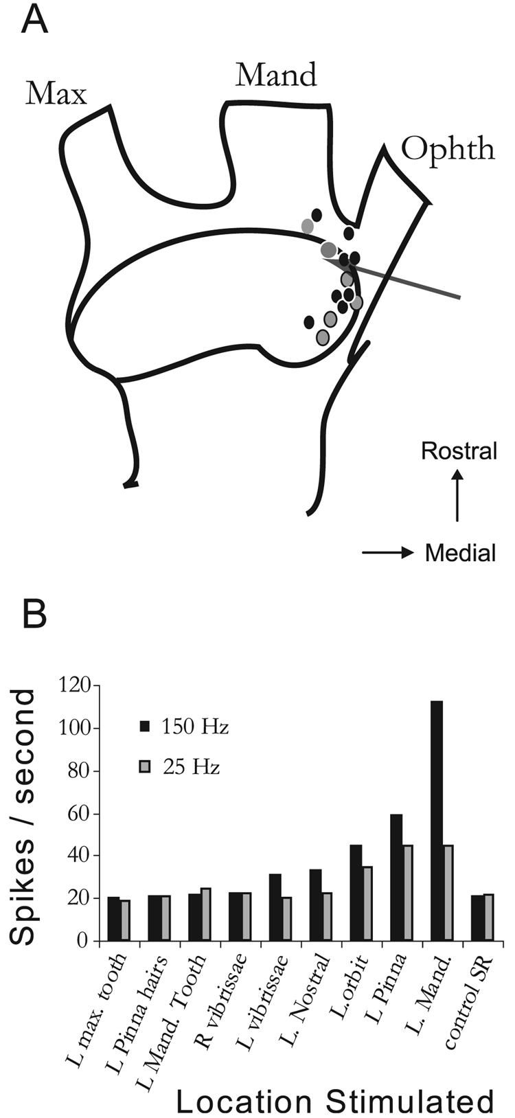 FIG. 1