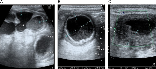 Figure 1