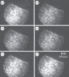 Figure 7.