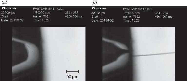 Figure 6.