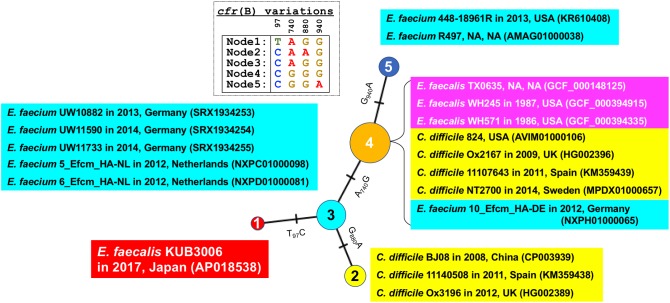 FIGURE 4