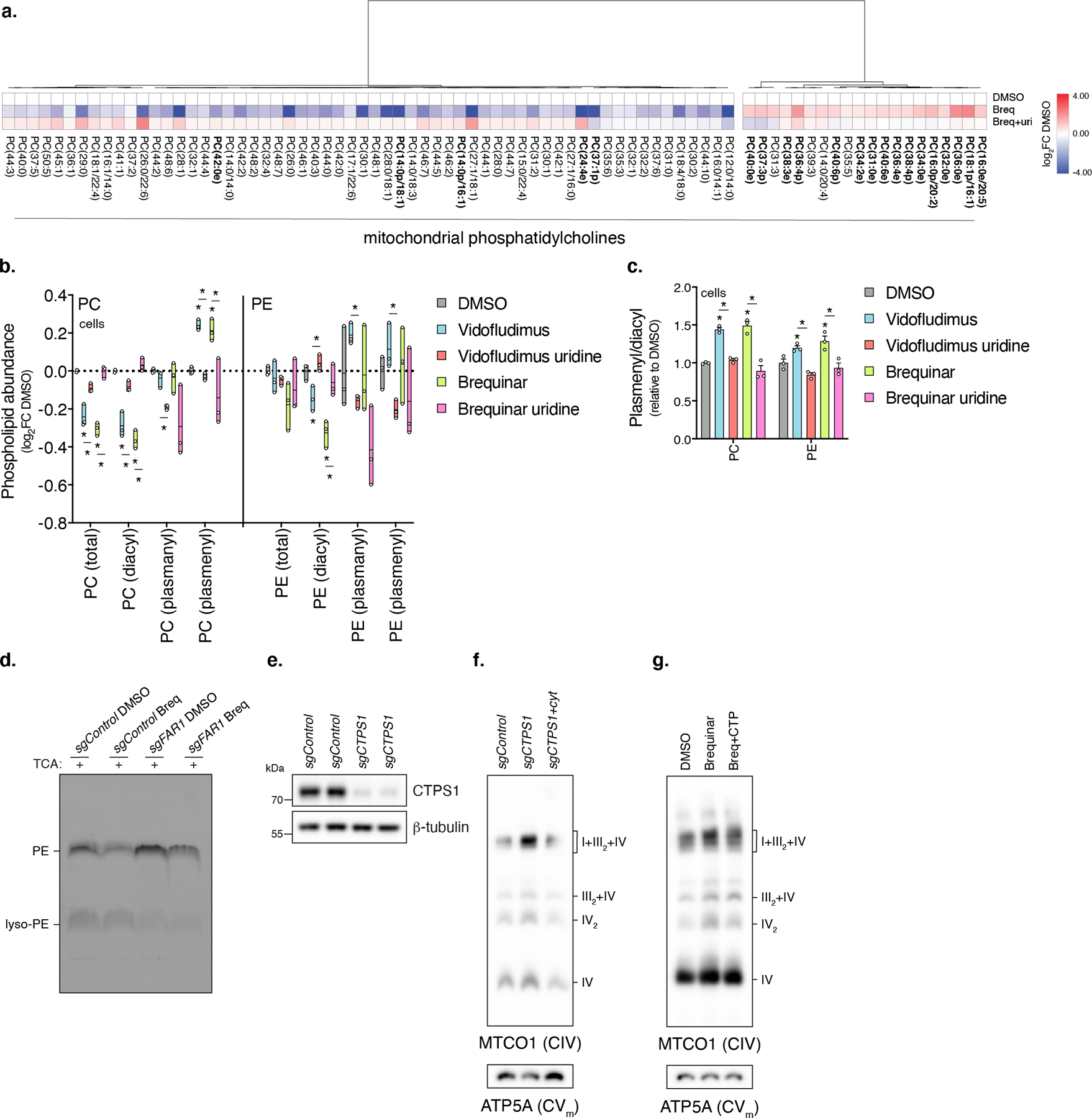 Extended Data Fig. 5