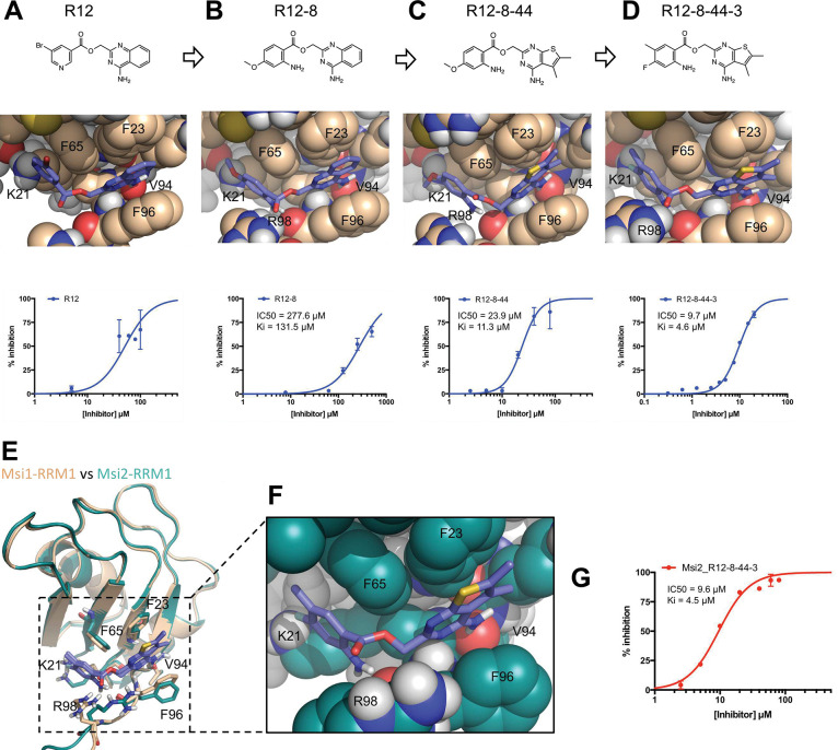 Figure 2: