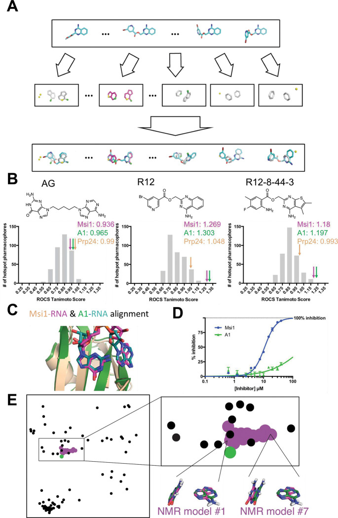 Figure 4: