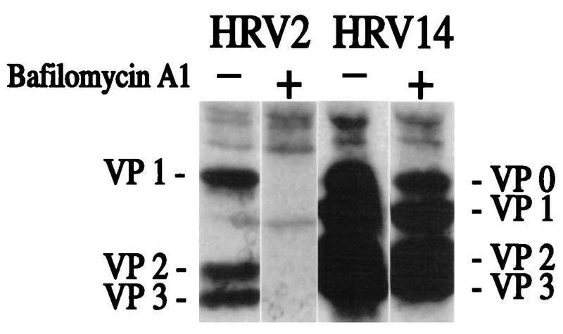 FIG. 8