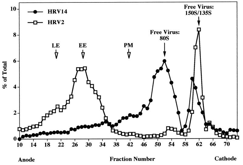 FIG. 9