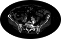 Fig 5
