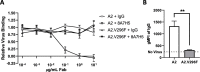Figure 5—figure supplement 2.