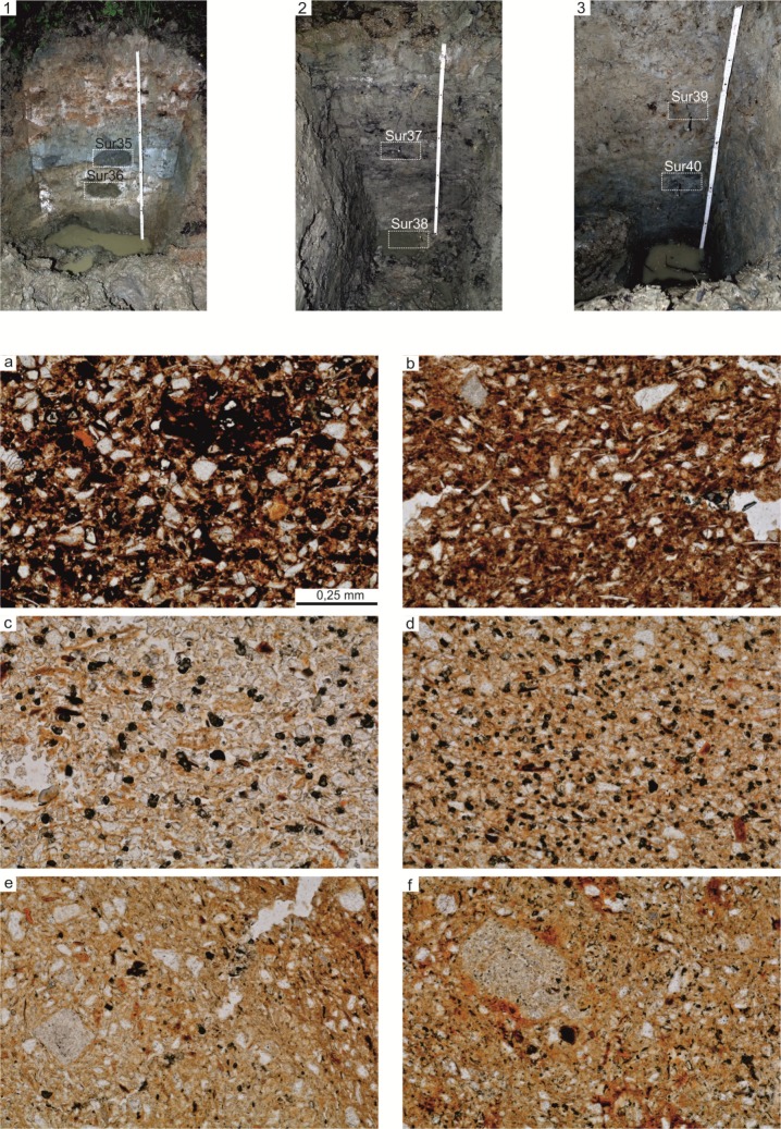 Fig 9
