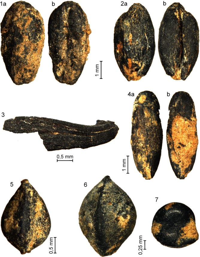Fig 13