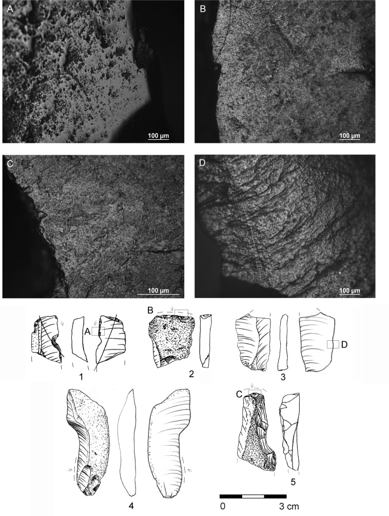 Fig 12