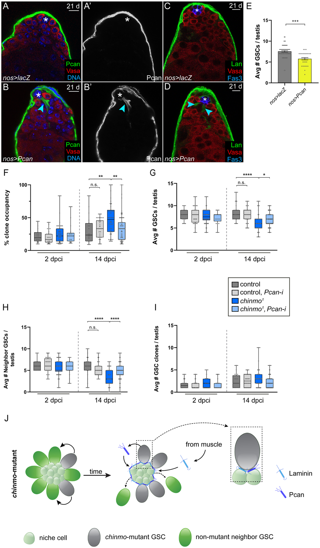 Figure 3: