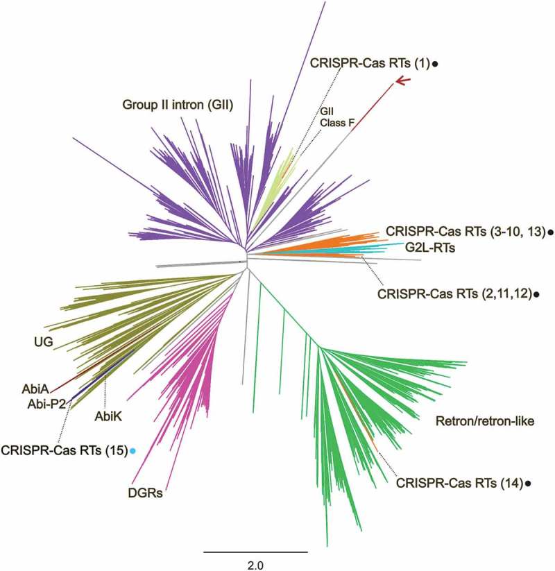 Figure 2.