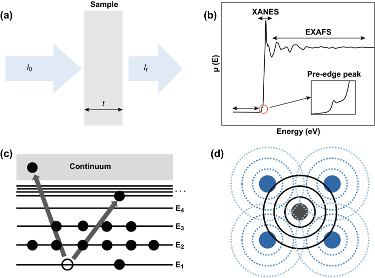 Fig. 1