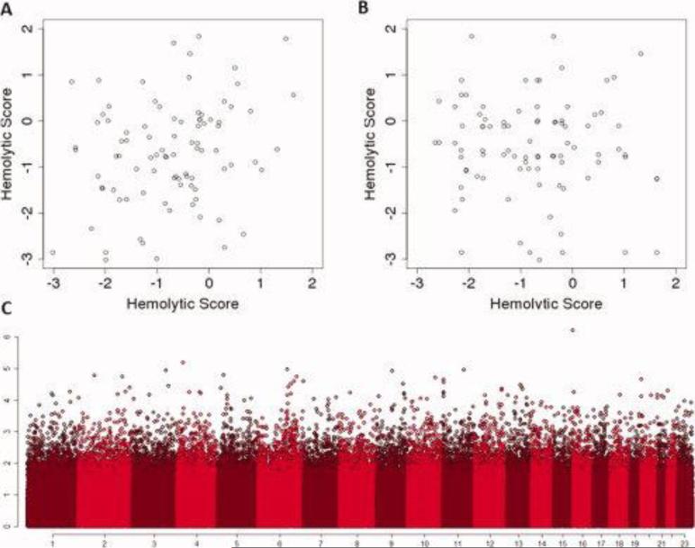 Genetic modifiers of sickle cell disease