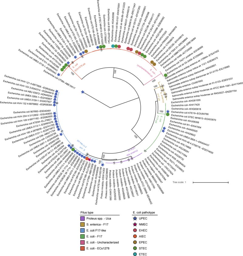 Extended Data Figure 4