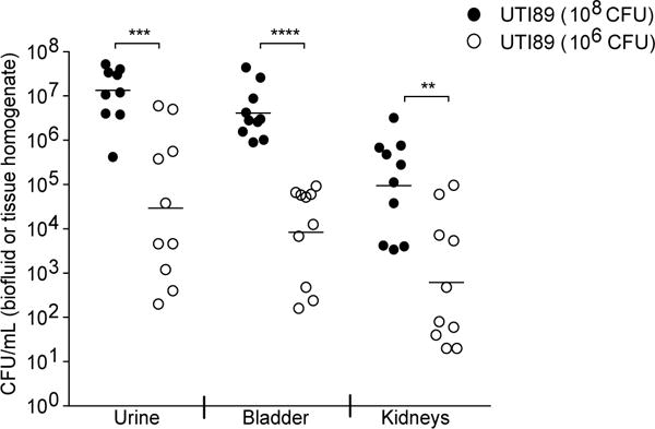 Extended Data Figure 7