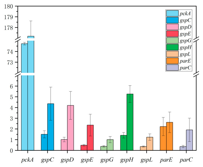 Figure 7