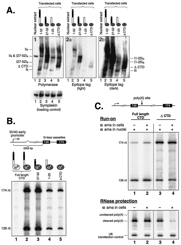 FIG.1.