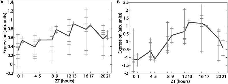 Fig 7