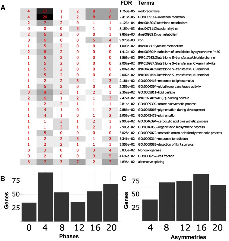 Fig 10