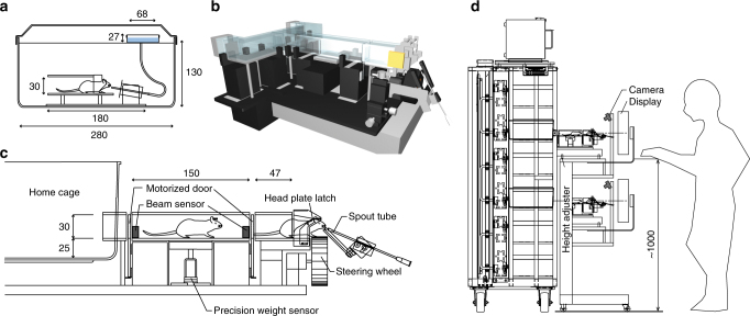 Fig. 1