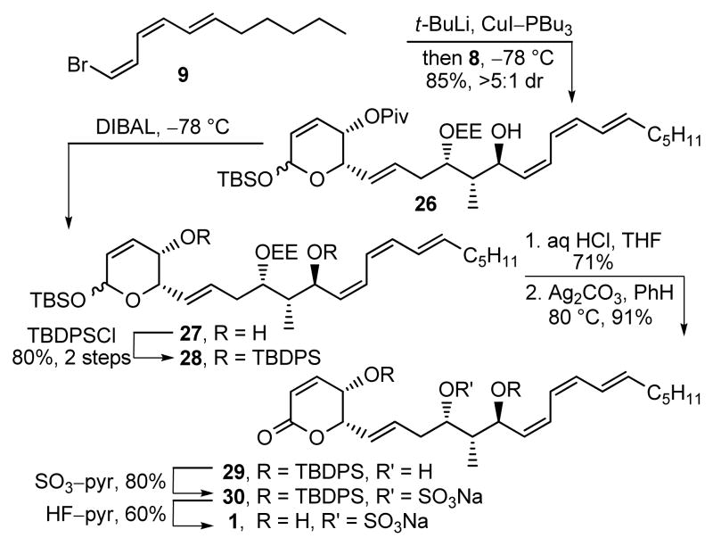 Scheme 2