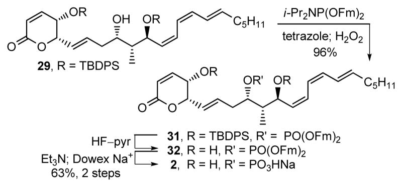 Scheme 3