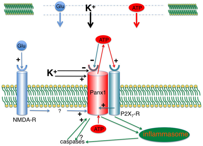 Figure 9