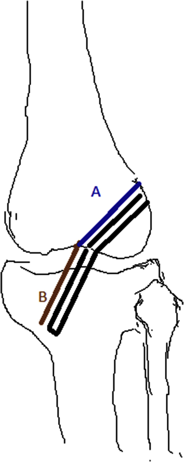 Fig 5