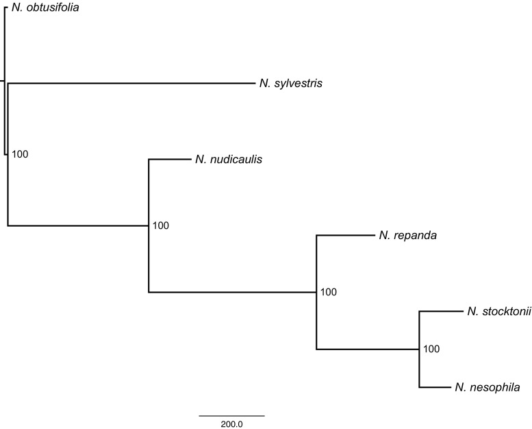 Fig. 3