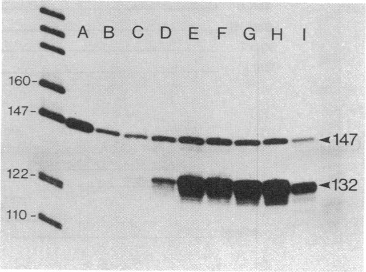 graphic file with name pnas00284-0058-a.jpg