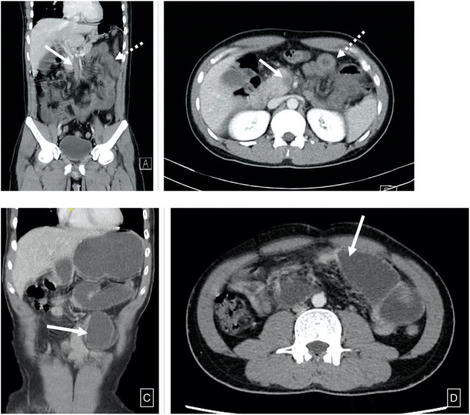 Fig. 6