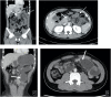 Fig. 6