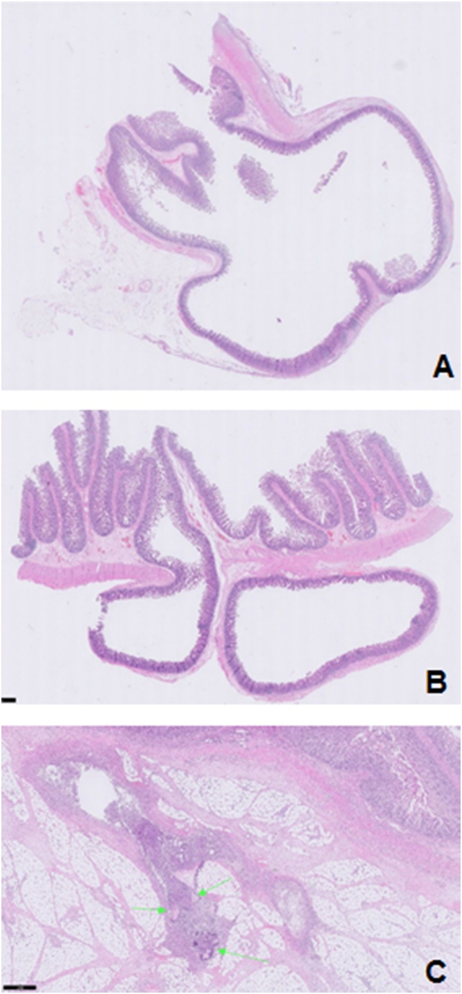 Fig. 3