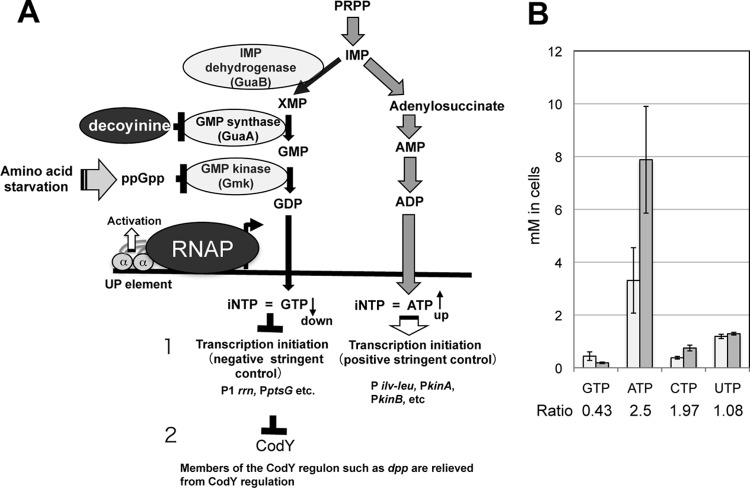 Fig 2