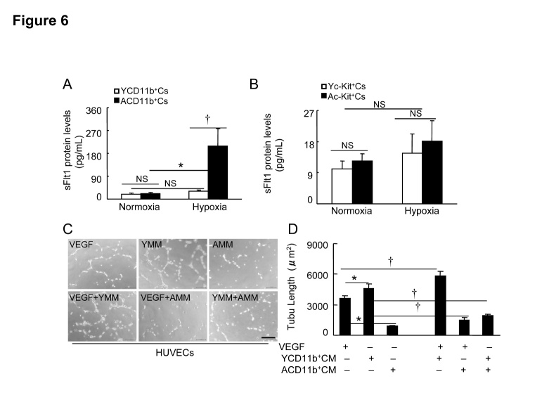 Figure 6.