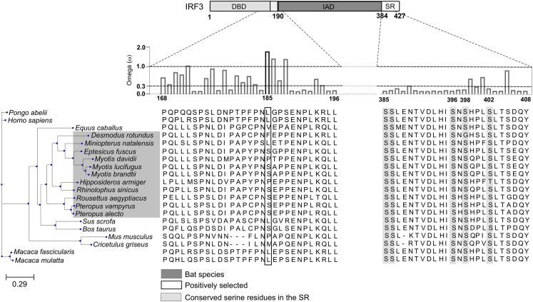 Figure 1