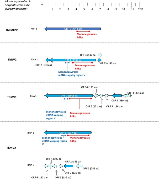 Figure 4.