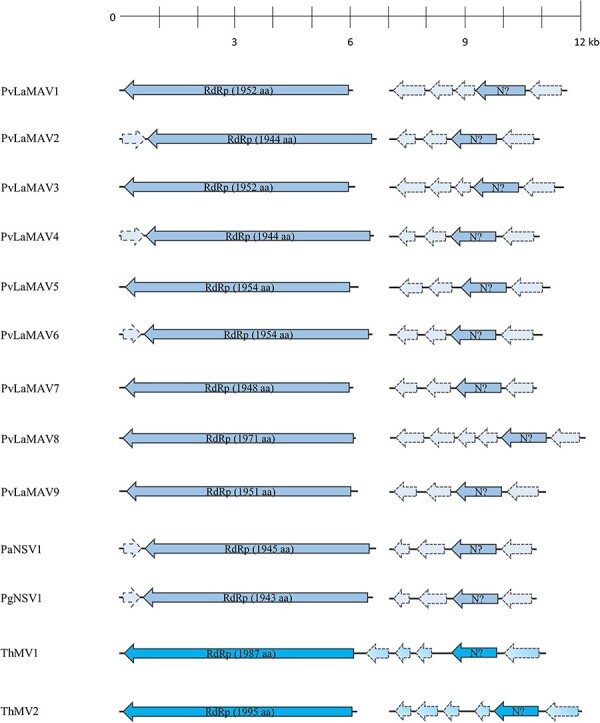 Figure 6.